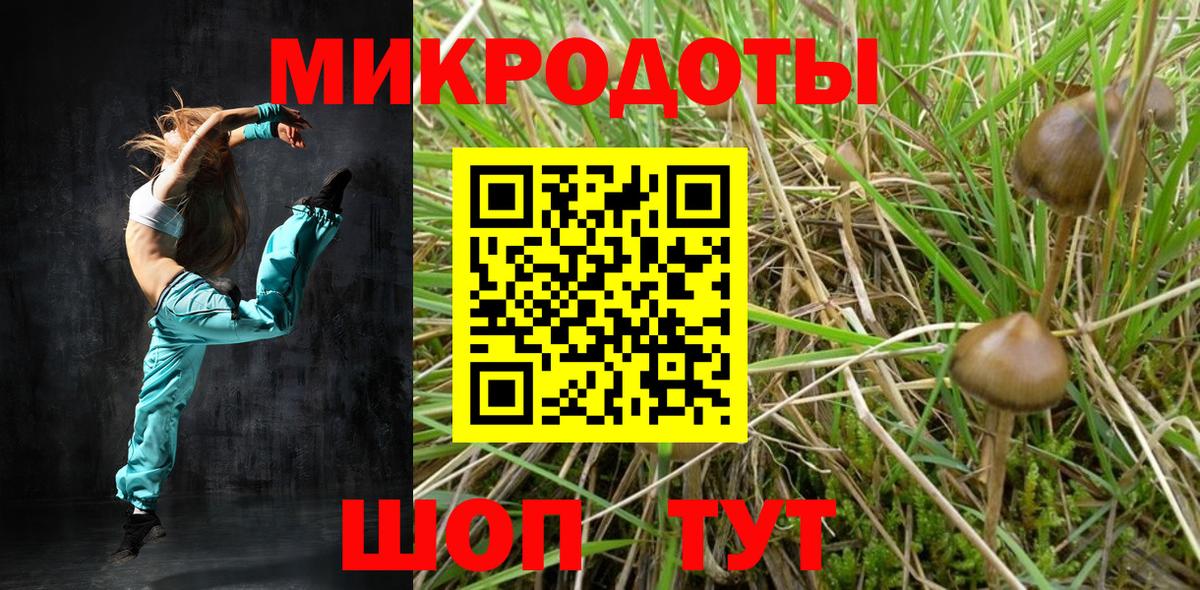Псилоцибиновые грибы прущие грибы Аксай